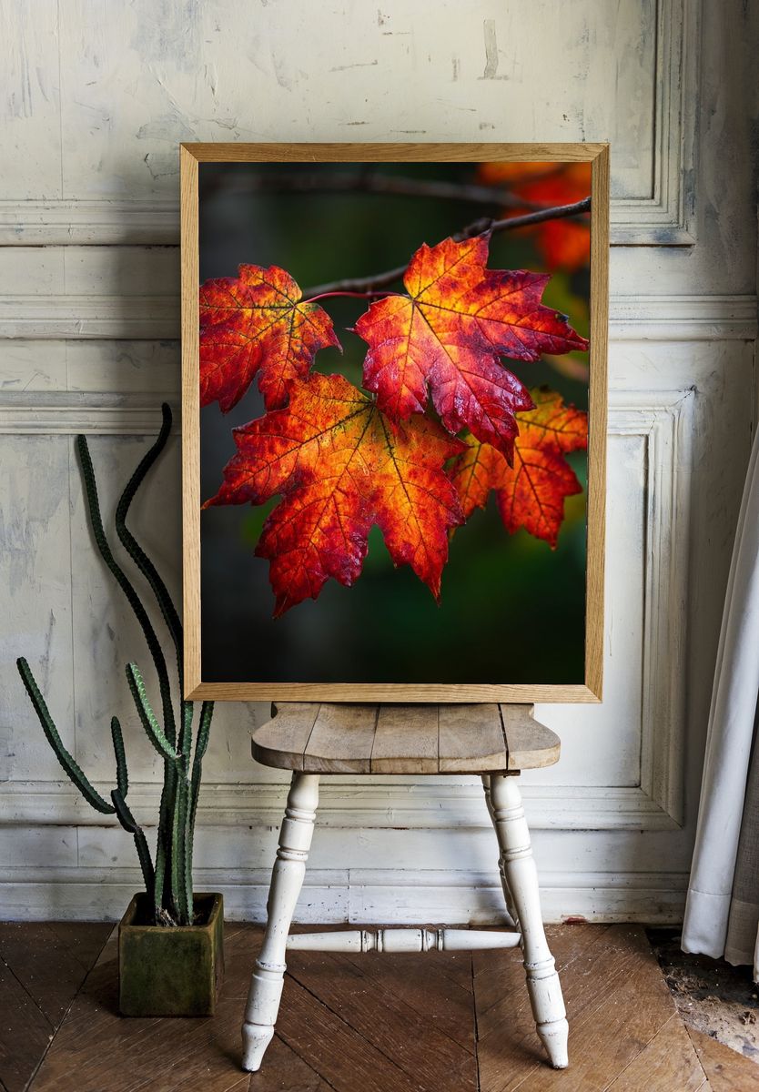 Autumn Maple Leaves Nature Print room preview