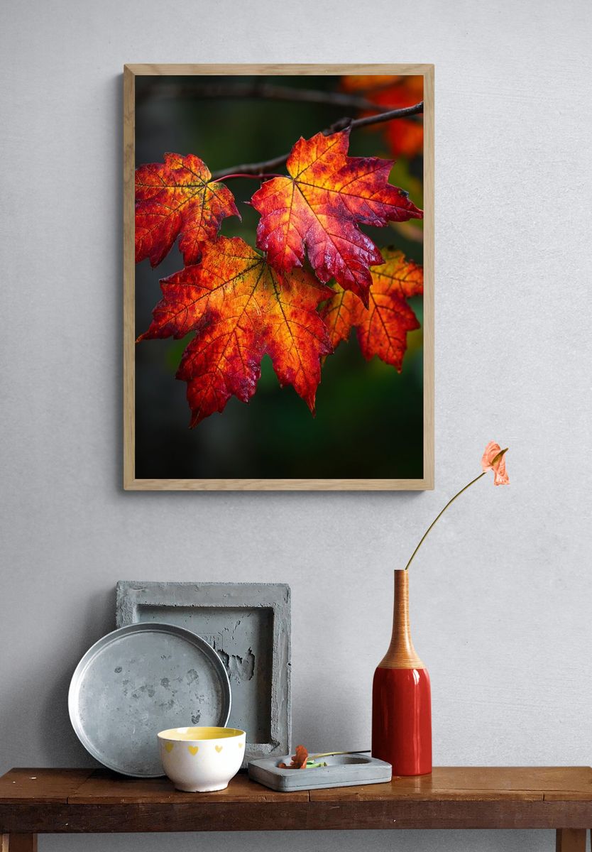 Autumn Maple Leaves Nature Print. — room view 3