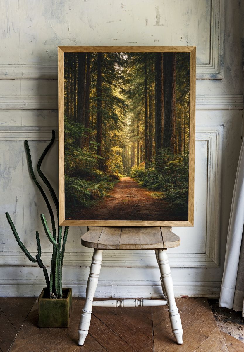 Misty Redwood Forest Poster. — room view 1