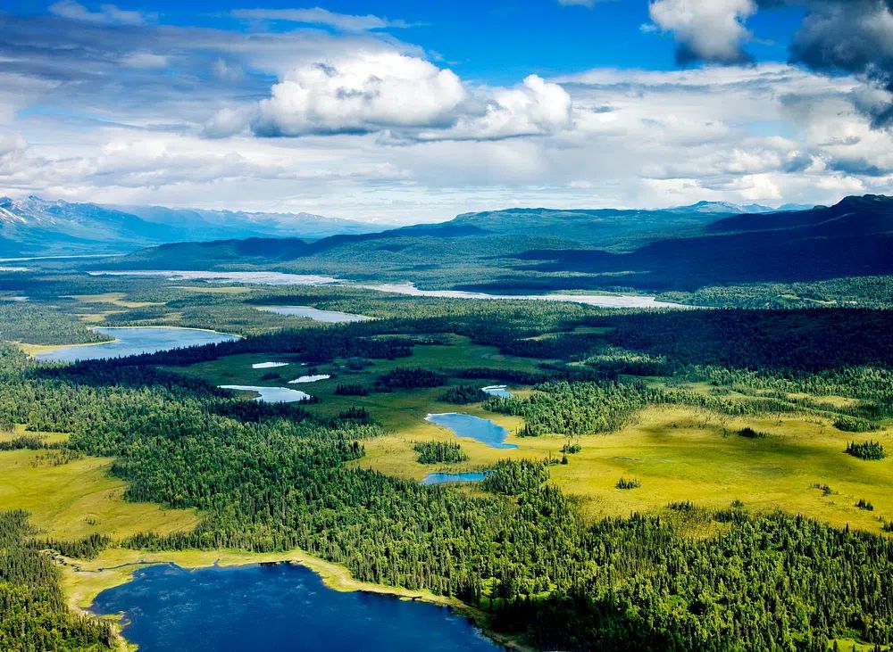 Lush Green Landscape — Nature Poster. poster detail