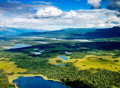 Lush Green Landscape — Nature Poster.