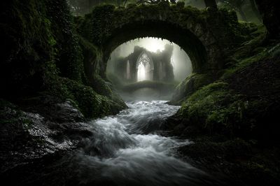 Mossy Gothic Ruins Landscape Poster.