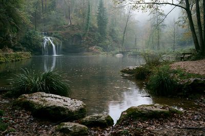 Misty Forest Waterfall Poster.