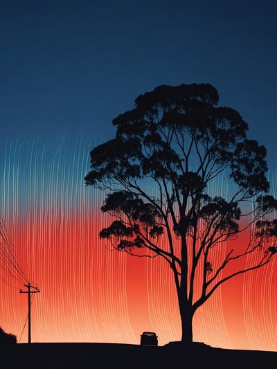 Silhouette Tree Sunset Print.