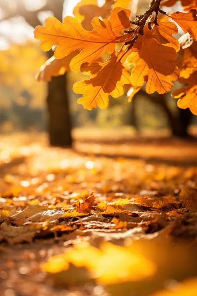 Autumn Leaves — Nature Poster. poster