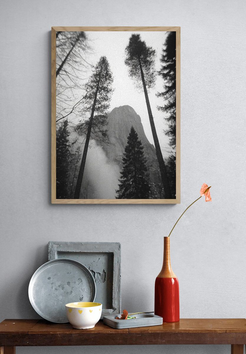 Misty Pine Forest Black-White Poster. — room view 3