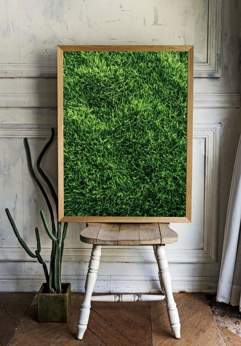 Lush Green Grass Texture Print. room preview