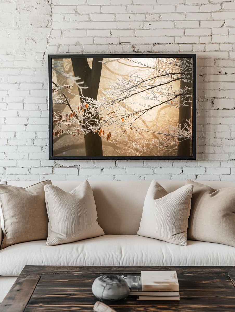 Sun illuminates branches their few. room preview