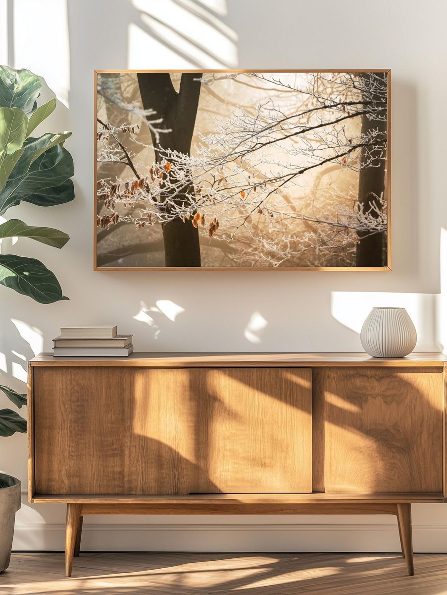 Sun illuminates branches their few. — room view 3
