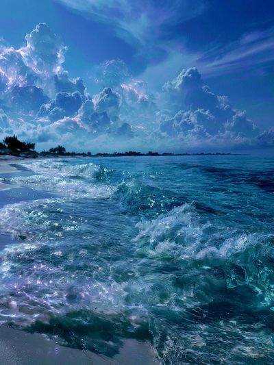 Moonlit Ocean Shore Poster. poster