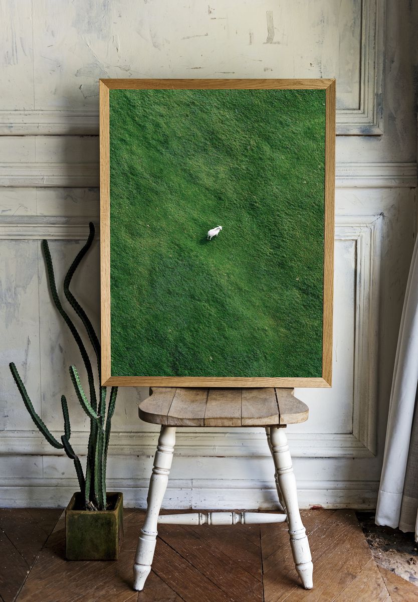 Lone Goat in Green Field Poster. room preview
