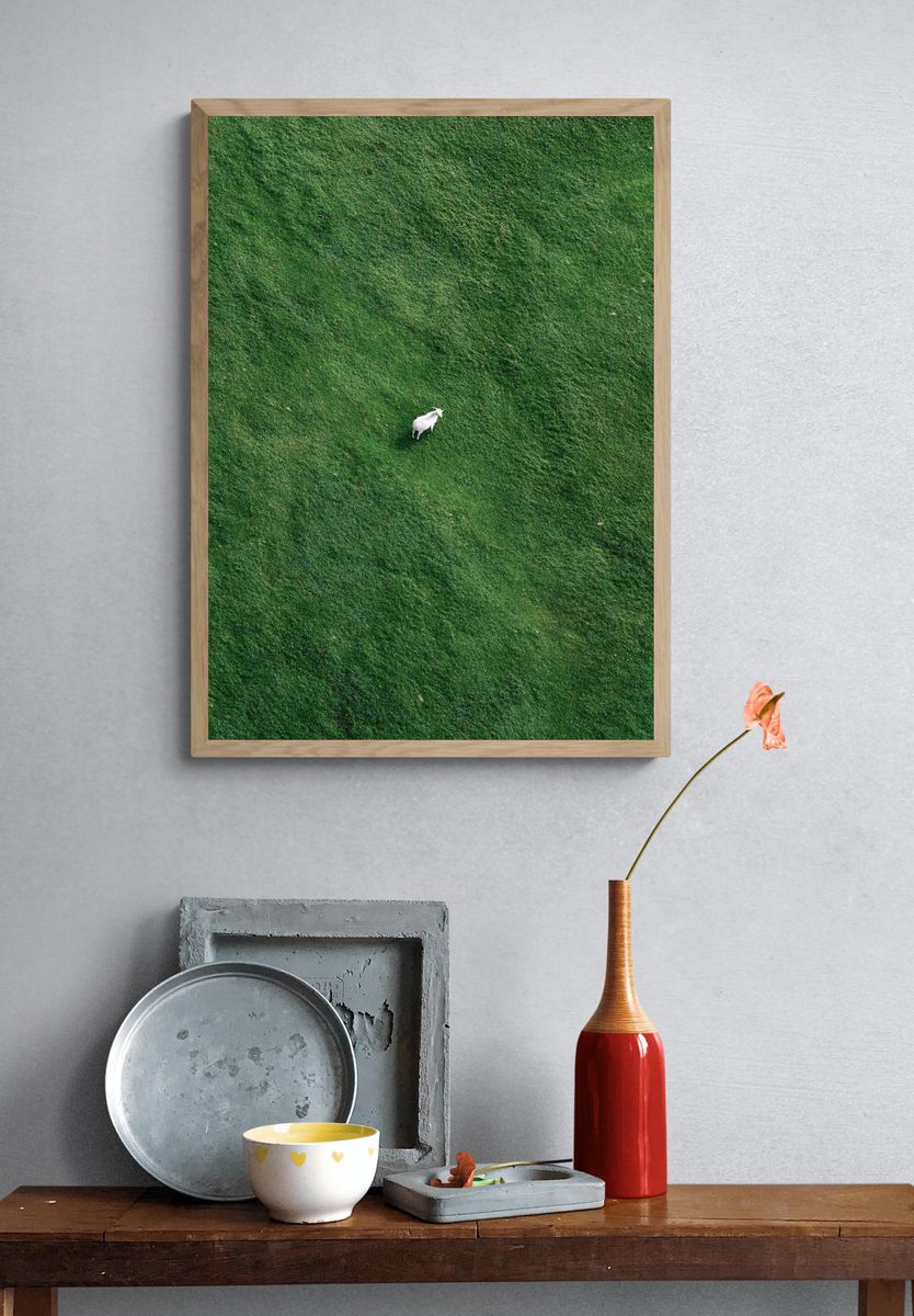Lone Goat in Green Field Poster. — room view 3