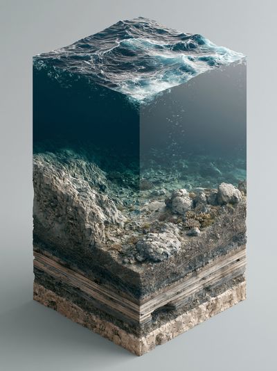 Ocean Reef Cross-Section Print.