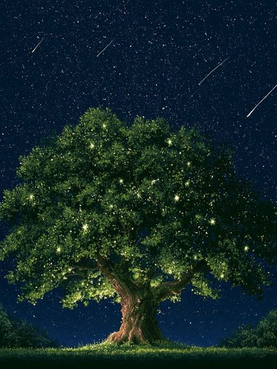 Starlit Tree Nightscape Print.