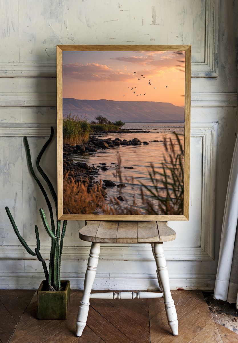 Sunset Lake Birds Photography Poster. — room view 1