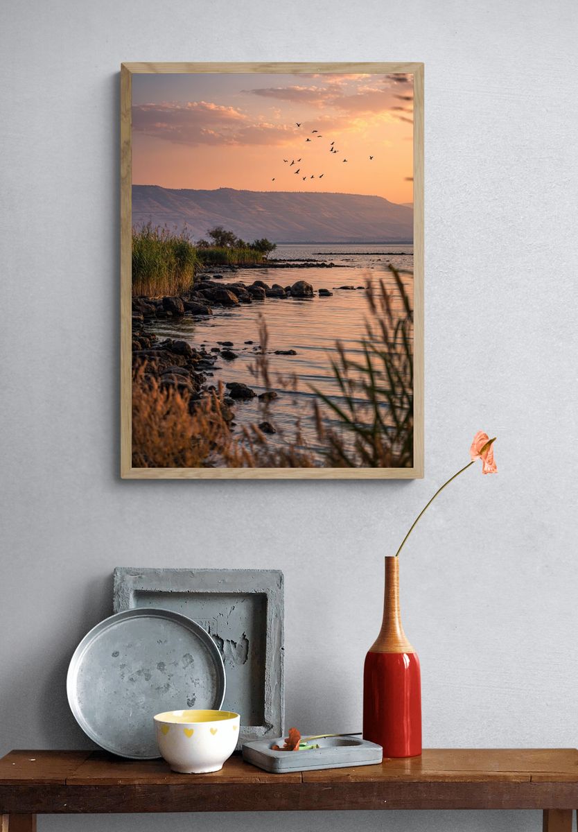 Sunset Lake Birds Photography Poster. — room view 3