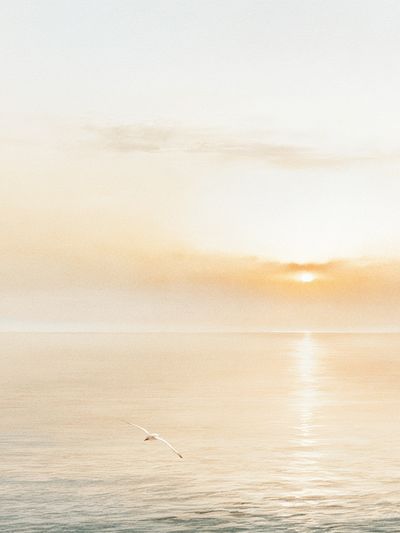 Golden Seascape Sunrise Poster. poster