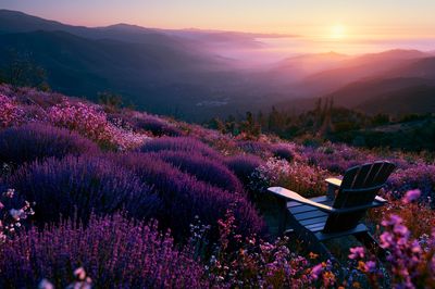 Lavender Sunset Mountain View Poster.