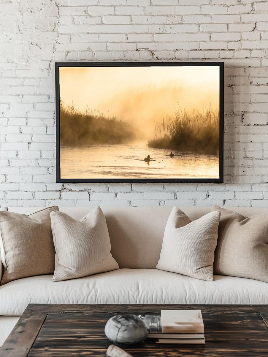 Ducks in Misty Morning Water — Nature Poster. — room view 1