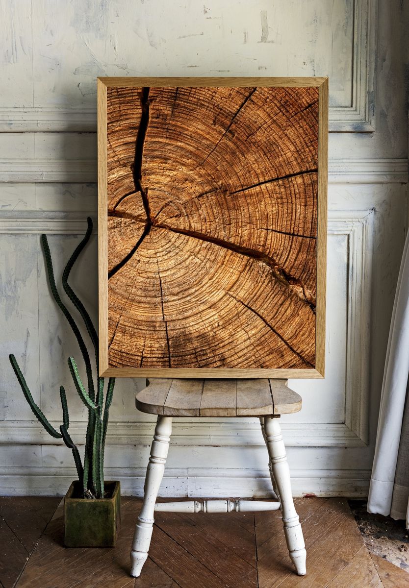 Tree Rings Texture Print. room preview