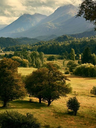 Misty Mountain Valley Landscape Poster.