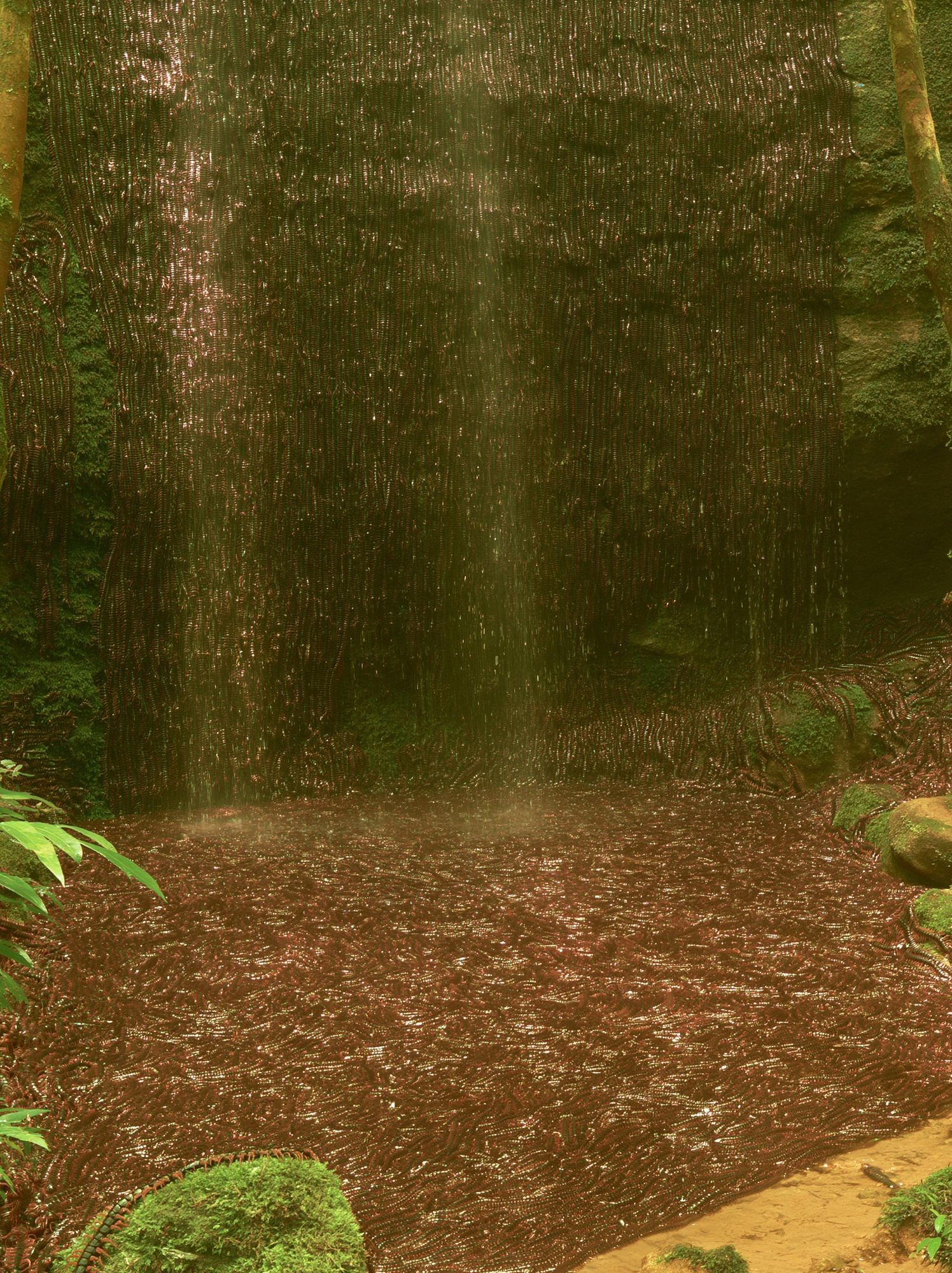 Misty Jungle Waterfall Photography Poster. poster detail