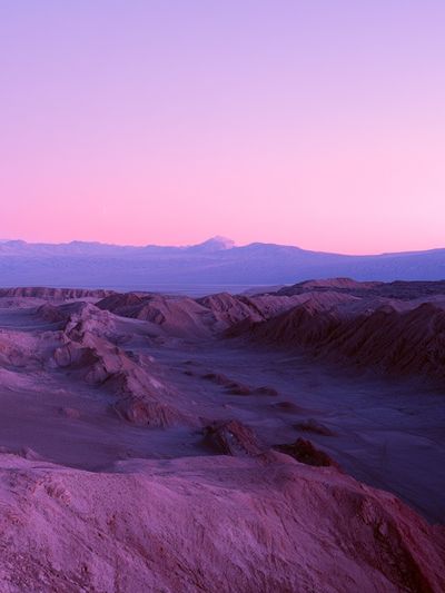 Pink Desert Dunes Landscape Poster.