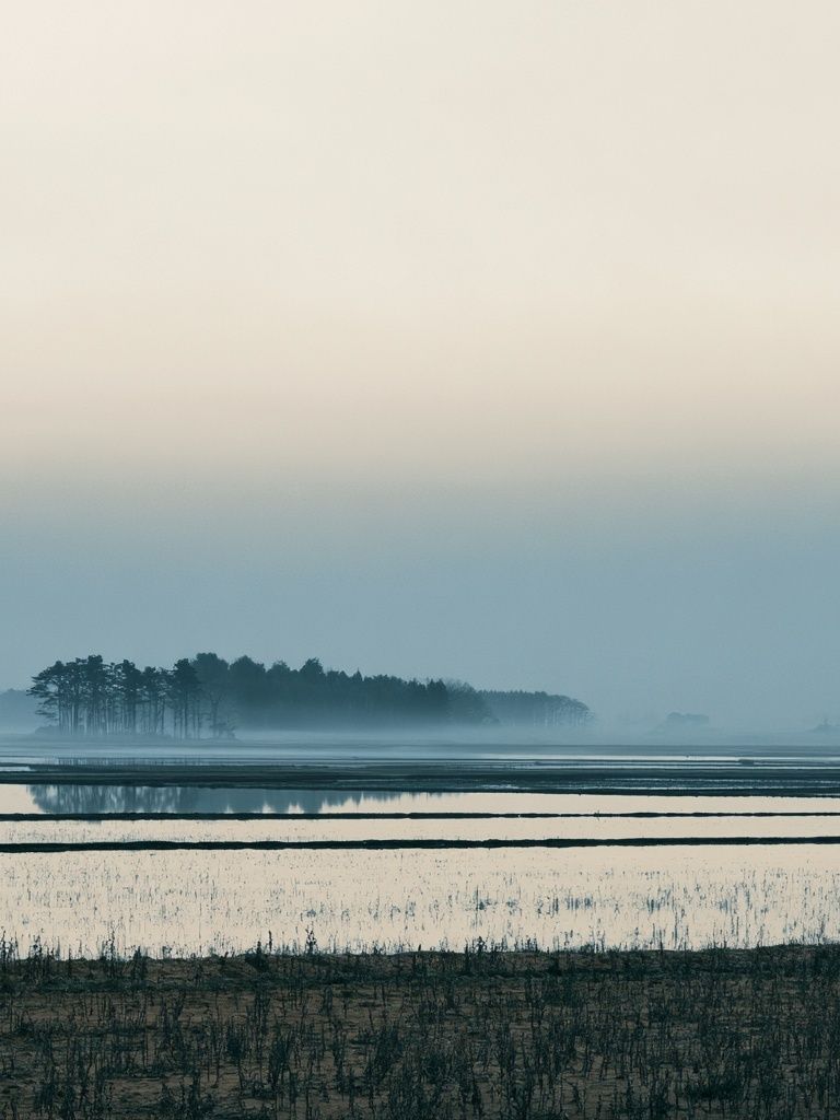 Misty Lake Landscape Poster. poster — nature art