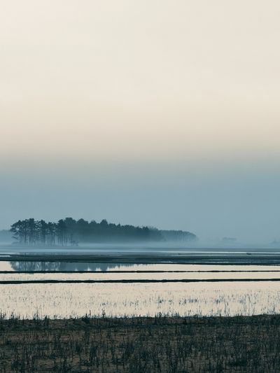Misty Lake Landscape Poster.