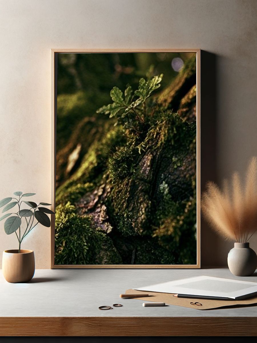 Mossy Tree Bark Forest Print. — room view 2
