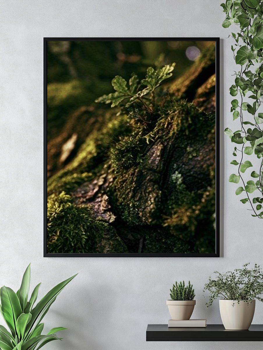 Mossy Tree Bark Forest Print. — room view 4