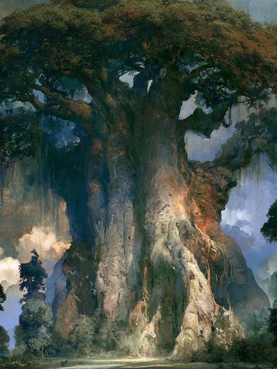 Ancient Tree Landscape Print.