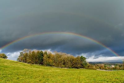 Rainbow Over Green Hills — Nature Poster. poster