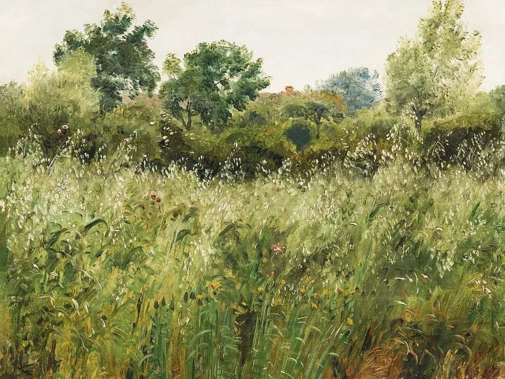 Field Oats Vejby (1843) vintage. poster detail