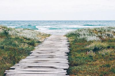 Wooden path grass ocean beach. poster