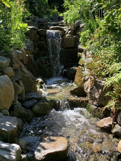 Garden Waterfall Nature Print. poster