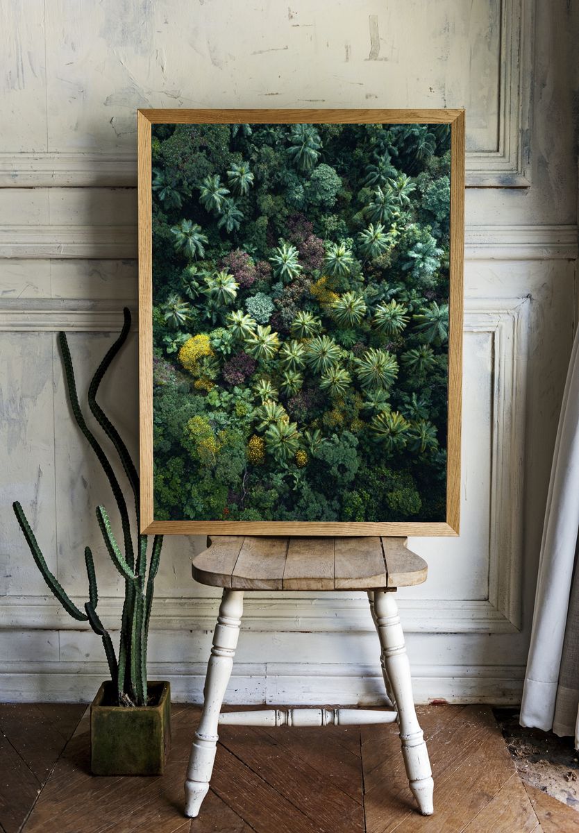 Tropical Canopy Aerial Poster room preview