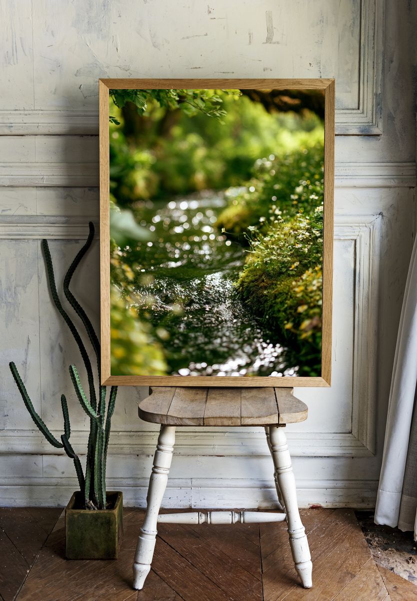 Mossy Forest Stream Photography Poster. — room view 1