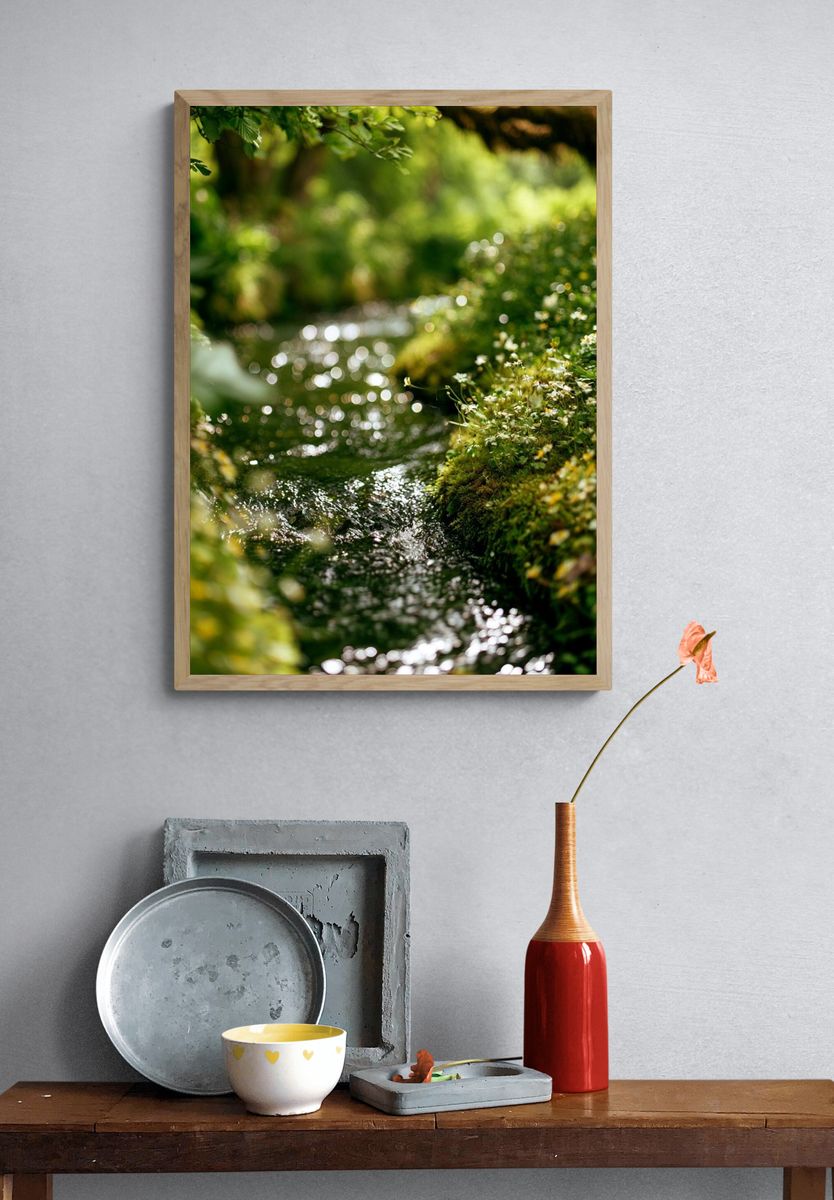 Mossy Forest Stream Photography Poster. — room view 3
