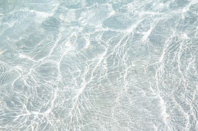 Island water background, free public. poster