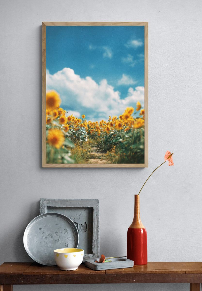 Sunflower Field Sky Photography Poster. — room view 3