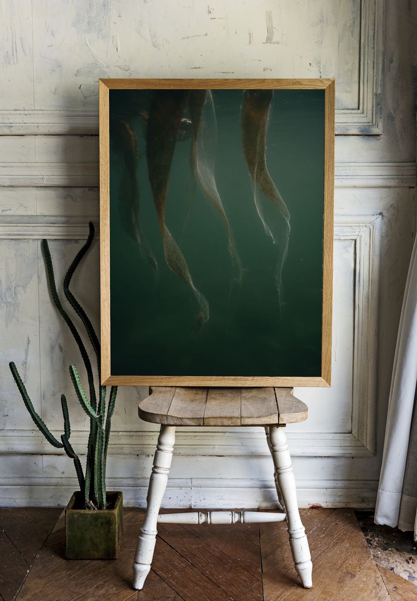 Underwater Kelp Forest — Nature Print. — room view 1
