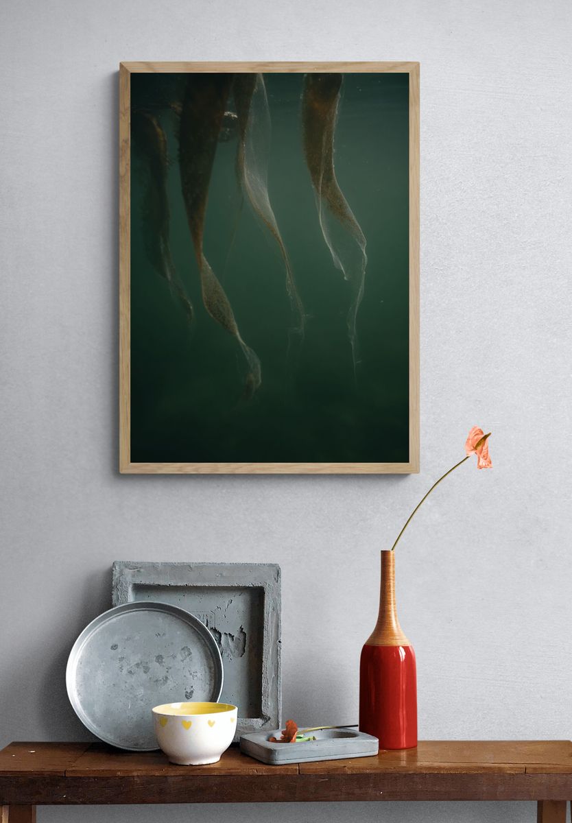 Underwater Kelp Forest — Nature Print. — room view 3