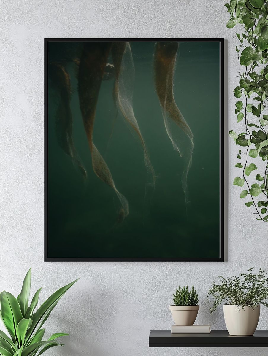 Underwater Kelp Forest — Nature Print. — room view 4