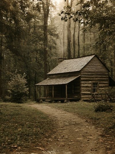 Forest Cabin Landscape Poster.