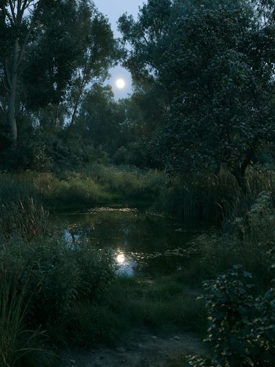 Moonlit Forest Pond Poster.