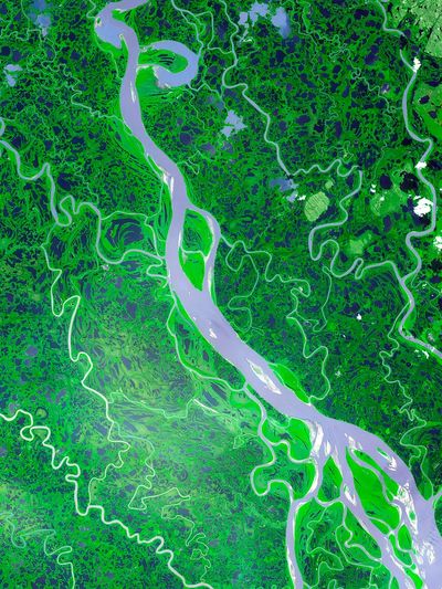 Aerial River Landscape Poster