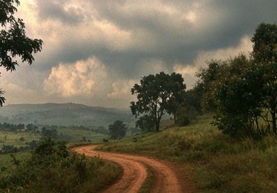 Misty Country Road Landscape Print. poster