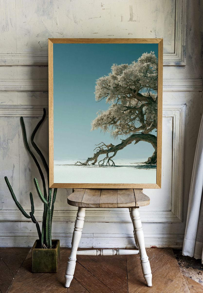 Solitary Tree in Snowy Landscape Print. — room view 1