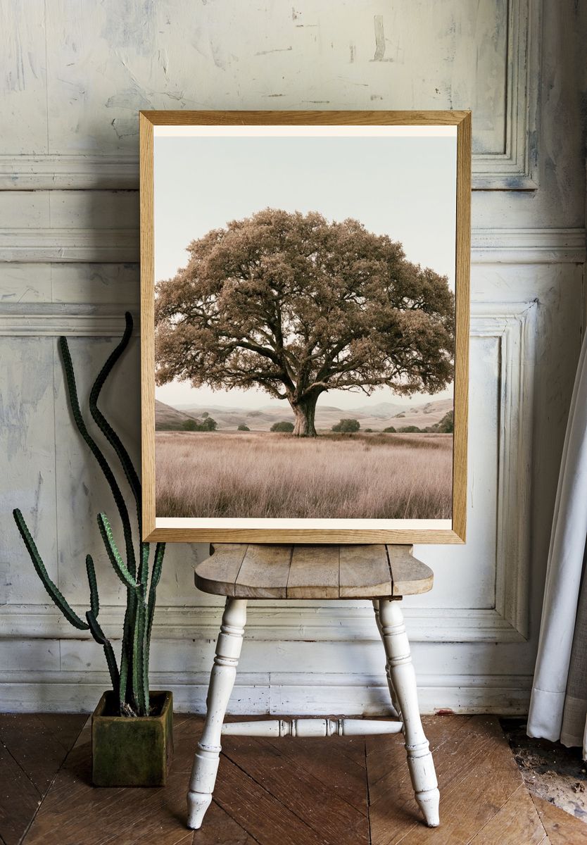 Solitary Oak in Meadow Photography Poster. room preview